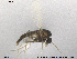  ( - CH-eik50)  @12 [ ] CreativeCommons - Attribution Non-Commercial Share-Alike (2013) NTNU Museum of Natural History and Archaeology NTNU Museum of Natural History and Archaeology