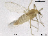 ( - CH-eik65)  @13 [ ] CreativeCommons - Attribution Non-Commercial Share-Alike (2013) NTNU Museum of Natural History and Archaeology NTNU Museum of Natural History and Archaeology
