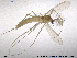 ( - CH-eik71)  @11 [ ] CreativeCommons - Attribution Non-Commercial Share-Alike (2013) NTNU Museum of Natural History and Archaeology NTNU Museum of Natural History and Archaeology