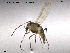  ( - CH-eik72)  @13 [ ] CreativeCommons - Attribution Non-Commercial Share-Alike (2013) NTNU Museum of Natural History and Archaeology NTNU Museum of Natural History and Archaeology