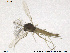  ( - CH-eik85)  @13 [ ] CreativeCommons - Attribution Non-Commercial Share-Alike (2013) NTNU Museum of Natural History and Archaeology NTNU Museum of Natural History and Archaeology