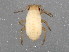  ( - BIOUG02037-A07)  @12 [ ] CreativeCommons - Attribution (2012) CBG Photography Group Centre for Biodiversity Genomics