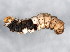  ( - BIOUG02021-E11)  @14 [ ] CreativeCommons - Attribution (2012) CBG Photography Group Centre for Biodiversity Genomics