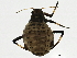  ( - BIOUG02053-B04)  @12 [ ] CreativeCommons - Attribution (2012) CBG Photography Group Centre for Biodiversity Genomics