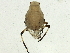  ( - BIOUG02053-B07)  @12 [ ] CreativeCommons - Attribution (2012) CBG Photography Group Centre for Biodiversity Genomics