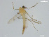  ( - XJ113)  @11 [ ] CreativeCommons - Attribution Non-Commercial (2017) Xiaolong Lin NTNU University Museum, Department of Natural History