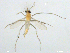  ( - XJ158)  @11 [ ] CreativeCommons - Attribution Non-Commercial Share-Alike (2018) Xiaolong Lin NTNU University Museum, Department of Natural History