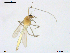  ( - XJ174)  @11 [ ] CreativeCommons - Attribution Non-Commercial Share-Alike (2018) Xiaolong Lin NTNU University Museum, Department of Natural History