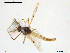  ( - XJ196)  @11 [ ] CreativeCommons - Attribution Non-Commercial Share-Alike (2018) Xiaolong Lin Department of Natural History, NTNU University Museum