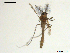  ( - XJ217)  @11 [ ] CreativeCommons - Attribution Non-Commercial Share-Alike (2018) Xiaolong Lin Department of Natural History, NTNU University Museum
