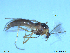  ( - XJ87)  @11 [ ] CreativeCommons - Attribution Non-Commercial Share-Alike (2016) Nankai University, College of Life Sciences Nankai University, College of Life Sciences