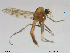  ( - XJ98)  @11 [ ] CreativeCommons - Attribution Non-Commercial Share-Alike (2018) Xiaolong Lin Department of Natural History, NTNU University Museum