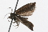 ( - 09PROBE-09618)  @12 [ ] CreativeCommons - Attribution (2009) Unspecified Centre for Biodiversity Genomics