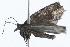  ( - 09PROBE-09623)  @12 [ ] CreativeCommons - Attribution (2009) Unspecified Centre for Biodiversity Genomics