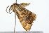  ( - 09PROBE-09464)  @12 [ ] CreativeCommons - Attribution (2009) Unspecified Centre for Biodiversity Genomics