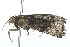  ( - 09PROBE-09469)  @12 [ ] CreativeCommons - Attribution (2009) Unspecified Centre for Biodiversity Genomics