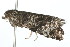  ( - 09PROBE-09473)  @12 [ ] CreativeCommons - Attribution (2009) Unspecified Centre for Biodiversity Genomics