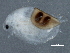  ( - CCDB-08345-G09)  @13 [ ] CreativeCommons - Attribution (2012) CBG Photography Group Centre for Biodiversity Genomics