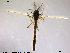  ( - TRD-CH127)  @12 [ ] CreativeCommons - Attribution Non-Commercial Share-Alike (2014) NTNU University Museum, Department of Natural History NTNU University Museum, Department of Natural History