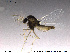  ( - TRD-CH15)  @13 [ ] CreativeCommons - Attribution Non-Commercial Share-Alike (2013) NTNU Museum of Natural History and Archaeology NTNU Museum of Natural History and Archaeology