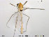  ( - TRD-CH152)  @13 [ ] CreativeCommons - Attribution Non-Commercial Share-Alike (2014) NTNU University Museum, Department of Natural History NTNU University Museum, Department of Natural History