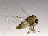  ( - TRD-CH16)  @12 [ ] CreativeCommons - Attribution Non-Commercial Share-Alike (2013) NTNU Museum of Natural History and Archaeology NTNU Museum of Natural History and Archaeology