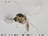  ( - TRD-CH199)  @12 [ ] CreativeCommons - Attribution Non-Commercial Share-Alike (2015) NTNU University Museum, Department of Natural History NTNU University Museum, Department of Natural History