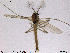  ( - TRD-CH20)  @13 [ ] CreativeCommons - Attribution Non-Commercial Share-Alike (2013) NTNU Museum of Natural History and Archaeology NTNU Museum of Natural History and Archaeology