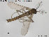  ( - TRD-CH201)  @13 [ ] CreativeCommons - Attribution Non-Commercial Share-Alike (2015) NTNU University Museum, Department of Natural History NTNU University Museum, Department of Natural History