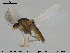  ( - TRD-CH250)  @11 [ ] CreativeCommons - Attribution Non-Commercial Share-Alike (2015) NTNU University Museum, Department of Natural History NTNU University Museum, Department of Natural History