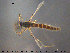  ( - TRD-CH321)  @11 [ ] CreativeCommons - Attribution Non-Commercial Share-Alike (2015) NTNU University Museum, Department of Natural History NTNU University Museum, Department of Natural History