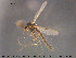  ( - TRD-CH322)  @11 [ ] CreativeCommons - Attribution Non-Commercial Share-Alike (2015) NTNU University Museum, Department of Natural History NTNU University Museum, Department of Natural History