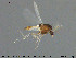  ( - TRD-CH384)  @12 [ ] CreativeCommons - Attribution Non-Commercial Share-Alike (2015) NTNU University Museum, Department of Natural History NTNU University Museum, Department of Natural History
