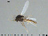  ( - TRD-CH387)  @13 [ ] CreativeCommons - Attribution Non-Commercial Share-Alike (2015) NTNU University Museum, Department of Natural History NTNU University Museum, Department of Natural History