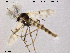  ( - TRD-CH40)  @13 [ ] CreativeCommons - Attribution Non-Commercial Share-Alike (2013) NTNU Museum of Natural History and Archaeology NTNU Museum of Natural History and Archaeology