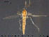 ( - TRD-CH402)  @11 [ ] CreativeCommons - Attribution Non-Commercial Share-Alike (2015) NTNU University Museum, Department of Natural History NTNU University Museum, Department of Natural History