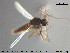  ( - TRD-CH415)  @12 [ ] CreativeCommons - Attribution Non-Commercial Share-Alike (2015) NTNU University Museum, Department of Natural History NTNU University Museum, Department of Natural History