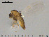  ( - TRD-CH419)  @11 [ ] CreativeCommons - Attribution Non-Commercial Share-Alike (2015) NTNU University Museum, Department of Natural History NTNU University Museum, Department of Natural History