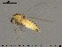  ( - TRD-CH421)  @13 [ ] CreativeCommons - Attribution Non-Commercial Share-Alike (2015) NTNU University Museum, Department of Natural History NTNU University Museum, Department of Natural History