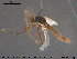  ( - TRD-CH425)  @12 [ ] CreativeCommons - Attribution Non-Commercial Share-Alike (2015) NTNU University Museum, Department of Natural History NTNU University Museum, Department of Natural History