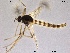  ( - TRD-CH5)  @12 [ ] CreativeCommons - Attribution Non-Commercial Share-Alike (2013) NTNU Museum of Natural History and Archaeology NTNU Museum of Natural History and Archaeology