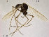  ( - TRD-CH73)  @12 [ ] CreativeCommons - Attribution Non-Commercial Share-Alike (2014) NTNU University Museum, Department of Natural History NTNU University Museum, Department of Natural History