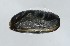  ( - 10PROBE-105200)  @14 [ ] Unspecified (default): All Rights Reserved  Unspecified Unspecified