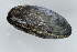  ( - 10PROBE-105980)  @14 [ ] Unspecified (default): All Rights Reserved  Unspecified Unspecified