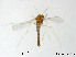  ( - CHGLG03)  @11 [ ] CreativeCommons-Attribution Non-Commercial Share-Alike (2020) Xiaolong Lin Nankai University, College of Life Sciences