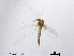  ( - CHGLG13)  @11 [ ] CreativeCommons-Attribution Non-Commercial Share-Alike (2020) Xiaolong Lin Nankai University, College of Life Sciences
