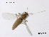  ( - CHGLG29)  @11 [ ] CreativeCommons-Attribution Non-Commercial Share-Alike (2020) Xiaolong Lin Nankai University, College of Life Sciences