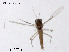  ( - CHGLG31)  @11 [ ] CreativeCommons-Attribution Non-Commercial Share-Alike (2020) Xiaolong Lin Nankai University, College of Life Sciences