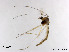  ( - LZB03)  @11 [ ] CreativeCommons-Attribution Non-Commercial Share-Alike (2020) Xiaolong Lin Nankai University, College of Life Sciences