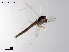  ( - LZB13)  @11 [ ] CreativeCommons-Attribution Non-Commercial Share-Alike (2020) Xiaolong Lin Nankai University, College of Life Sciences